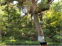 -浙江西子宾馆·瑶园咖啡厅