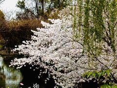 -广富林郊野公园