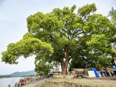 -古堰画乡景区