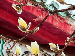 -中国中医科学院西苑医院(本部)