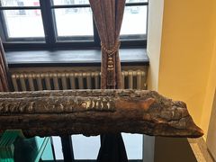 -哈尔滨工业大学-博物馆