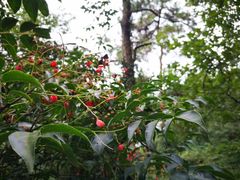 -兴福老面馆(寺路街店)