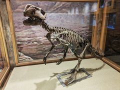 -国家自然博物馆