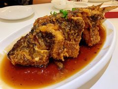 老济南糖醋鲤鱼-金春禧(世茂国际广场店)