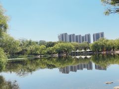 -青城公园