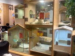 -屋虎猫馆(宝安大仟里店)