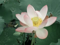 -漳泽水库水上公园