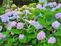 -常州古运河南大街文化旅游区-人民公园