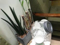 -苗方清颜·祛痘皮肤管理