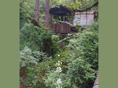 -碧峰峡风景区
