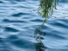 -丽江泸沽湖景区