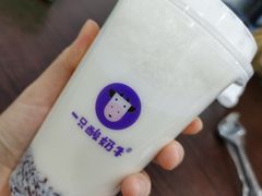 -一只酸奶牛(八一路店)