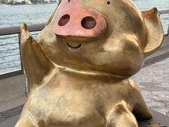 -星光大道