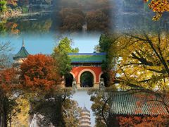 -灵谷景区