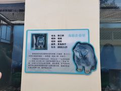 -青藏高原野生动物园