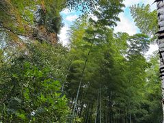 -有马温泉 竹取亭円山温泉旅馆