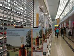 -谢列梅捷沃国际机场