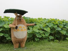 -嘉北郊野公园