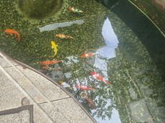 -长禧小馆(沙湾古镇店)