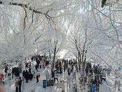 -雾凇岛