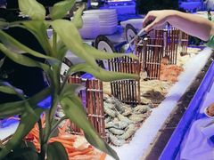 -加餐海鲜自助(宝龙一城店)