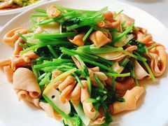 -九花山烤鸭店