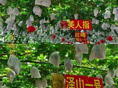 -大泽山风景名胜区