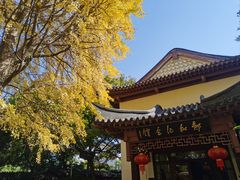 -郑和公园