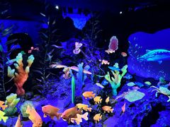 -珠海长隆海洋王国