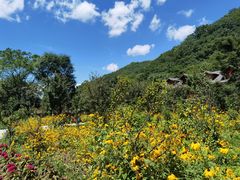 -参仙谷生态旅游度假区