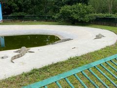 -秦皇岛野生动物园