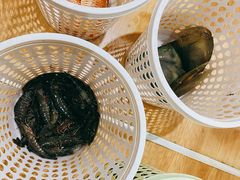 -小海豚•老字号海鲜餐厅(天涯店)