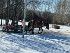 -北极村旅游风景区