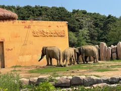 -沈阳森林动物园