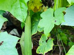-东戴河风景区-止锚湾