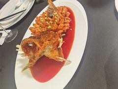 -RIVIERA 松鹤楼(外滩店)
