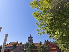 -金城公园