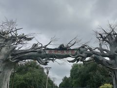 -绥化市森林植物园