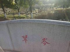 -白马涧龙池景区