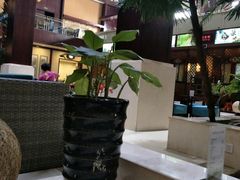 -钓鱼岛洗浴休闲会馆(卫星路店)