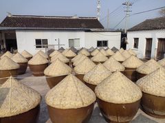 -苏州市吴中区光福窑上花果蜜饯厂