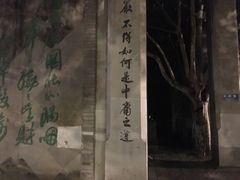 -运河游船(武林门码头)