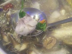 -千岛蚝高压锅生蚝·人参火锅(白云万达店)