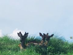 -良渚古城遗址公园
