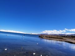 -青海湖国家重点风景名胜区