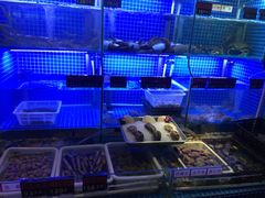 -捞围鲜·港式打边炉(海阳路店)