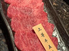 -老乾杯(深圳湾万象城店)
