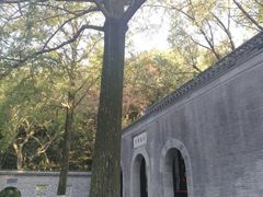 -镇江市南山风景名胜区竹林景区