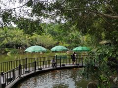 -呀诺达热带雨林
