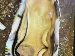 -蠔爺王志德生蚝馆(金沙湾店)